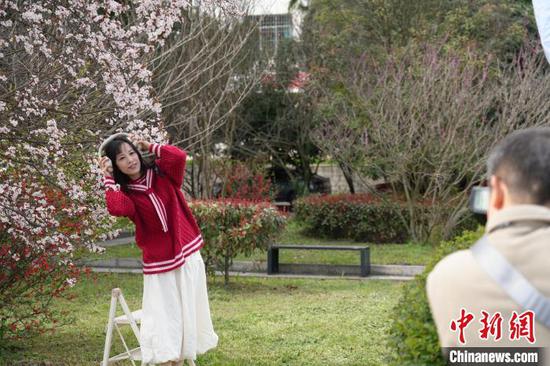 图为3月19日，民众在花丛中拍照打卡。石小杰 摄