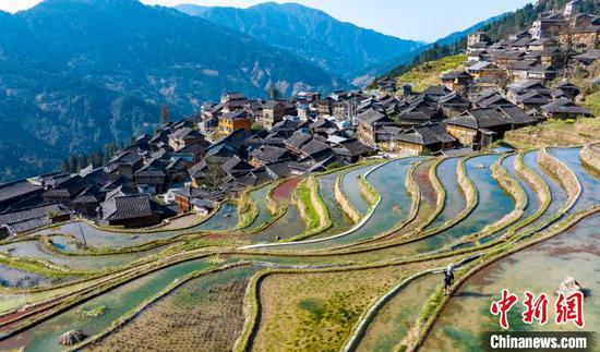 图为村民在加榜梯田田埂上走(无人机照片)。吴德军 摄 图为村民在加榜梯田田埂上走(无人机照片)。吴德军 摄