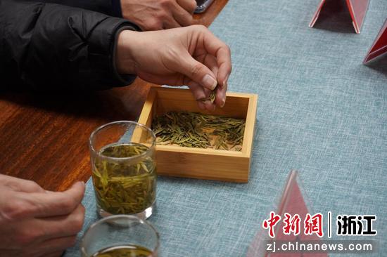 近日，“安山古茶品鉴会”现场。（浙江杭州万向职业技术学院供图）