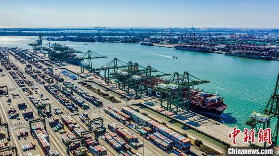 图为天津港太平洋国际集装箱码头。(天津港集团供图)