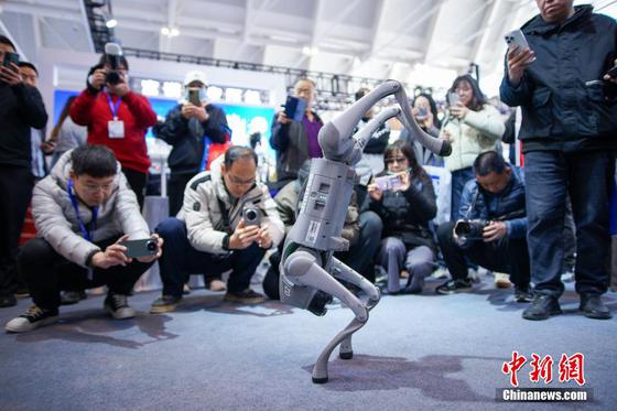 3月6日,第21届天津工博会在国家会展中心(天津)启幕。本届展会以“智能驱动,创新引领”为主题,吸引了来自全球的顶尖科技企业和研究机构参展。今年首次增设的具身智能展区集中展示了人形机器人、精密减速器、传感器、脑电成像等前沿技术。图为“机器狗”向观众演示倒立。中新社记者 佟郁 摄