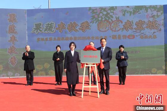 图为“西红柿小镇”揭牌仪式现场。(天津市宝坻区供图)