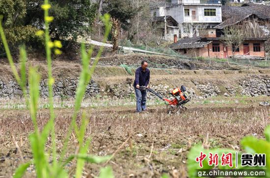 3月19日,村民在道真仡佬族苗族自治县旧城镇关坝村翻犁土地。