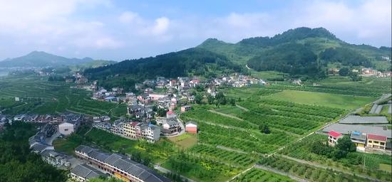 【请问仁怀市小湾中学,贵州省仁怀市中枢到小湾多少公里】