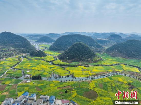 3月20日,航拍鲍家屯村油菜花海。(无人机照片)唐哲 摄 3月20日,航拍鲍家屯村油菜花海。(无人机照片)唐哲 摄