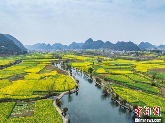 图为3月20日,航拍鲍家屯村油菜花海。(无人机照片)唐哲 摄 图为3月20日,航拍鲍家屯村油菜花海。(无人机照片)唐哲 摄