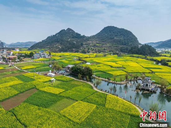 3月20日,航拍游客在鲍家屯村油菜花海游览。(无人机照片)唐哲 摄 3月20日,航拍游客在鲍家屯村油菜花海游览。(无人机照片)唐哲 摄