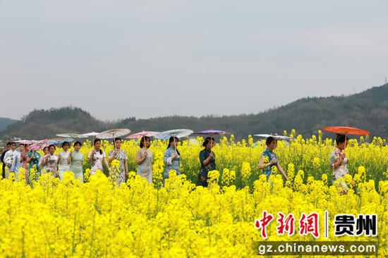 旗袍秀。杨家孟 摄 旗袍秀。杨家孟 摄