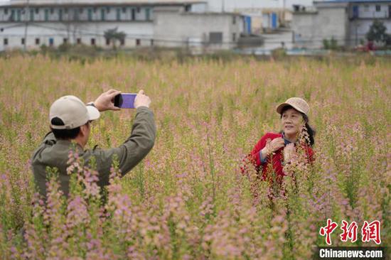 图为游客在油菜花海中拍照游玩。石小杰 摄 图为游客在油菜花海中拍照游玩。石小杰 摄