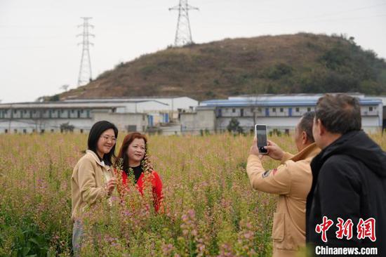 图为游客在油菜花海中拍照游玩。石小杰 摄 图为游客在油菜花海中拍照游玩。石小杰 摄