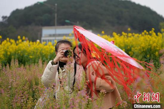 图为游客在油菜花海中拍照游玩。石小杰 摄 图为游客在油菜花海中拍照游玩。石小杰 摄