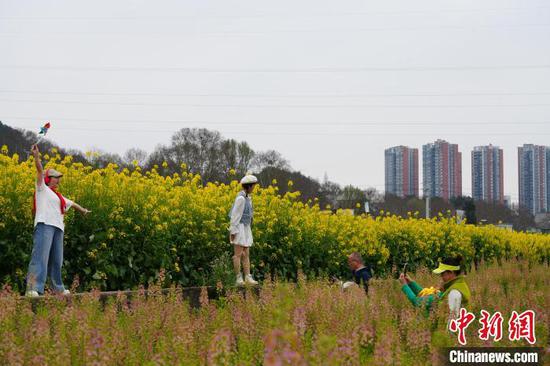 图为游客在油菜花海中拍照游玩。石小杰 摄 图为游客在油菜花海中拍照游玩。石小杰 摄