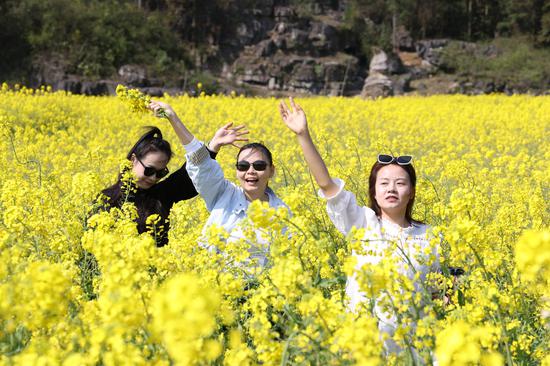 游客花间拍照 游客花间拍照
