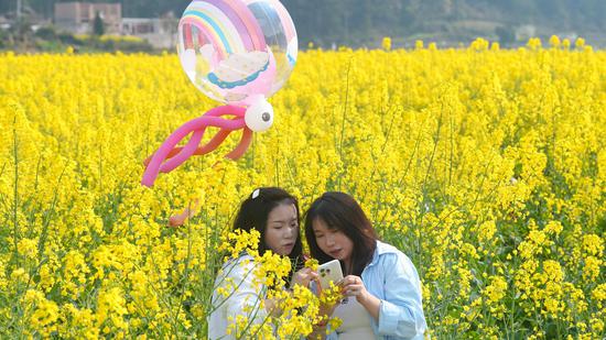 游客在油菜花海打卡拍照 游客在油菜花海打卡拍照