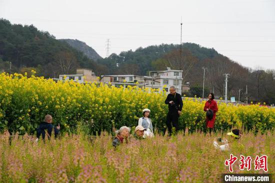 图为游客在油菜花海中拍照游玩。石小杰 摄 图为游客在油菜花海中拍照游玩。石小杰 摄