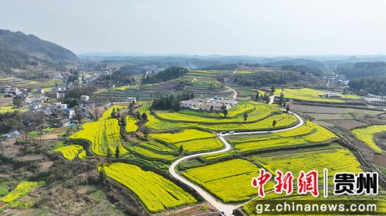 松桃县千亩油菜花开绘就田园春景图 松桃县千亩油菜花开绘就田园春景图