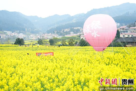 孩子们在花田里玩耍