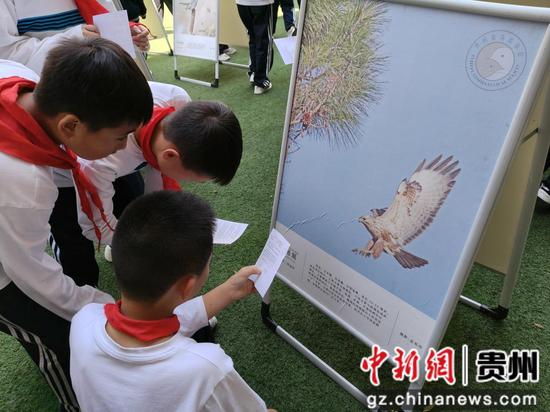 图为鸟类临展的活动现场。 向红摄 图为鸟类临展的活动现场。 向红摄