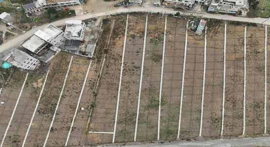 赫章县河镇乡以则河社区“微田园”。林文臣 摄