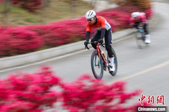 3月29日，男子公路精英组选手在比赛中。中新社记者 瞿宏伦 摄