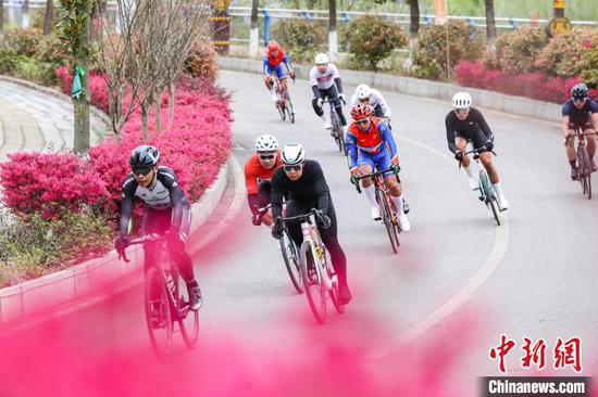 3月29日，男子公路精英组选手在比赛中。中新社记者 瞿宏伦 摄