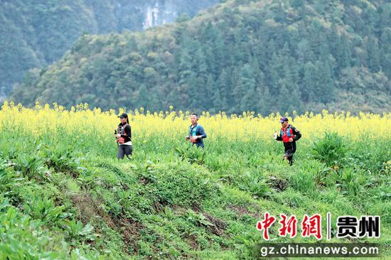 比赛现场 比赛现场