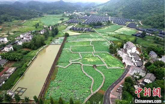 资料图:贵州省道真自治县隆兴镇浣溪村花园组产业场景。(遵义市民宗委供图) 资料图:贵州省道真自治县隆兴镇浣溪村花园组产业场景。(遵义市民宗委供图)