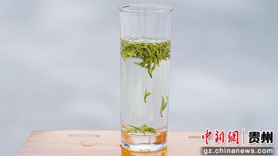 剑河县翁王白茶园今年头茬高山白茶冲泡的茶汤。彭开燚 摄 剑河县翁王白茶园今年头茬高山白茶冲泡的茶汤。彭开燚 摄
