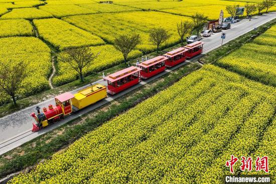 2025年4月3日,航拍游客乘坐小火车在贵州省黔南布依族苗族自治州贵定县盘江镇音寨村观赏油菜花。 中新社记者 瞿宏伦 摄 2025年4月3日,航拍游客乘坐小火车在贵州省黔南布依族苗族自治州贵定县盘江镇音寨村观赏油菜花。 中新社记者 瞿宏伦 摄