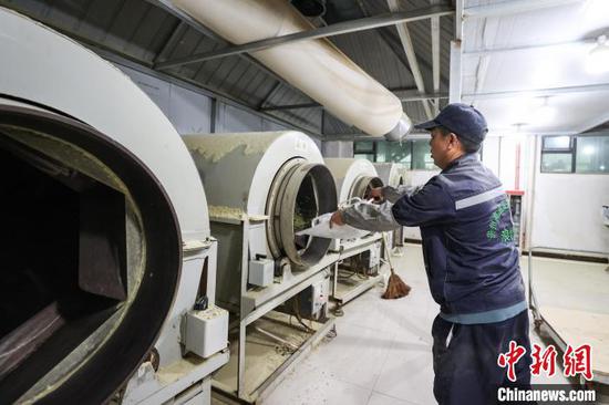 4月4日,工人在凤冈县永安镇一家茶企车间加工明前茶。 记者 瞿宏伦 摄 4月4日,工人在凤冈县永安镇一家茶企车间加工明前茶。 记者 瞿宏伦 摄