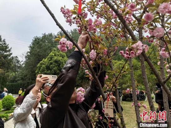 图为群众性殡葬文明实践活动现场。中新网记者张伟 摄