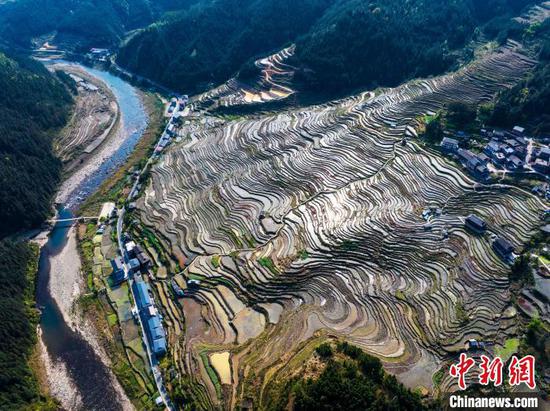 图为刚边壮族乡宰别村的梯田春景。吴德军 摄