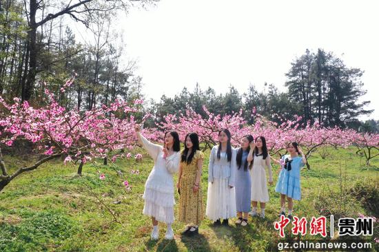 游客在贵州省剑河县岑松镇塘脚村桃花种植基地拍照打卡。杨家孟 摄