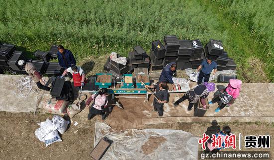 4月7日，村民在道真自治县河口镇梅江村水稻种植基地用育苗播种机播种。