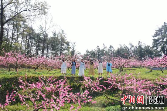 游客在贵州省剑河县岑松镇塘脚村桃花种植基地赏花、游玩。杨家孟 摄