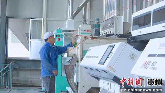 公司生产车间加工农产品