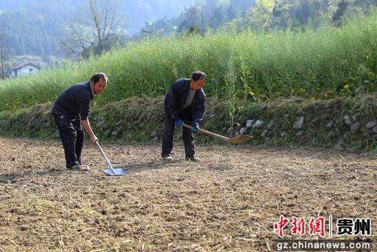 4月7日，村民在道真自治县河口镇梅江村水稻种植基地平整苗床。