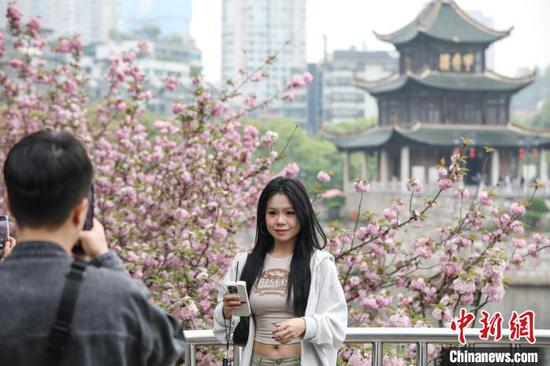 4月9日，游客以樱花为背景拍照。随着气温回升，贵州省贵阳市南明区甲秀楼景区的晚樱迎来盛花期，粉红色的樱花与甲秀楼相映成趣，构成了一幅春和景明的画卷，众多市民、游客前来拍照打卡。中新社记者 瞿宏伦 摄