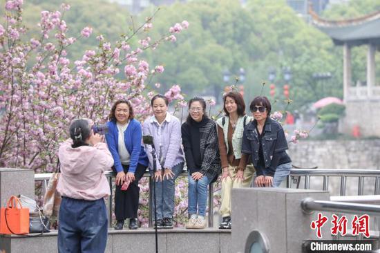 4月9日，游客以樱花为背景合影。随着气温回升，贵州省贵阳市南明区甲秀楼景区的晚樱迎来盛花期，粉红色的樱花与甲秀楼相映成趣，构成了一幅春和景明的画卷，众多市民、游客前来拍照打卡。中新社记者 瞿宏伦 摄