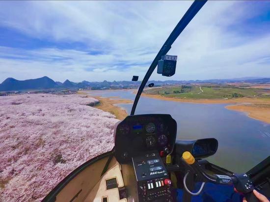 空中游览贵安樱花园