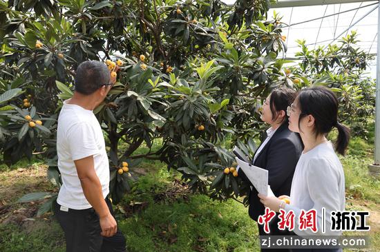 宁波银行工作人员了解农户需求。 宁波银行 供图