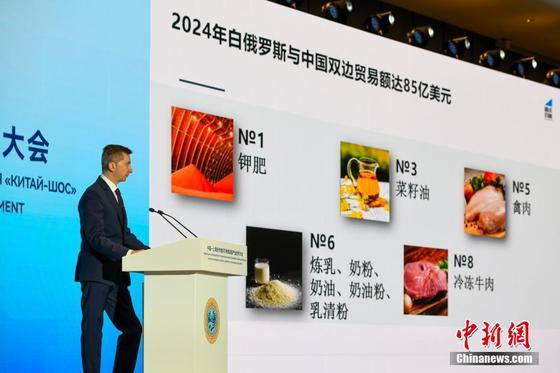 4月10日，天津，中白工业园区开发股份有限公司第一副总经理基里尔·卡罗杰耶夫向与会嘉宾阐述工业园通过可持续发展实践深化中白战略伙伴关系。当日，中国—上海合作组织可持续发展产业合作大会在天津滨海新区举行。来自上合组织成员国的各界代表和中国各行业翘楚齐聚渤海之滨，围绕对外开放、产业升级、投资促进等议题进行交流，推动多方合作。中新社记者 佟郁 摄