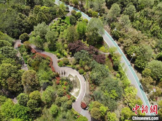 图为航拍贵阳市观山湖公园春景如画。（无人机照片）石小杰 摄