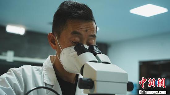 4月15日,在贵州省兴义世界地质公园博物馆化石修复室内,化石修复师王云忠正在进行化石修复工作。中新社记者 周燕玲 摄 4月15日,在贵州省兴义世界地质公园博物馆化石修复室内,化石修复师王云忠正在进行化石修复工作。中新社记者 周燕玲 摄