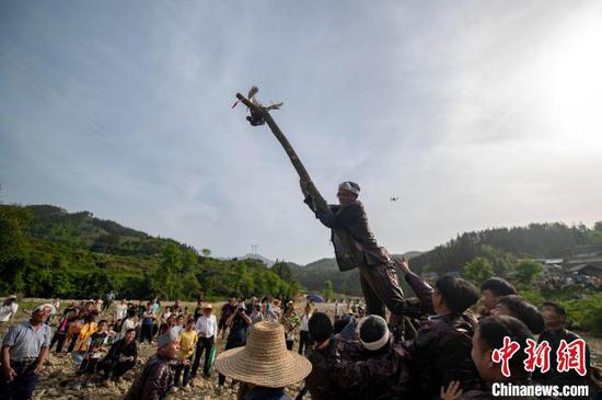 图为苗族同胞在抢野鸡。吴德军 摄