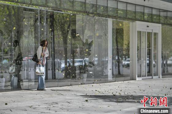 4月12日,天津,一名路人在建筑物下避风。 记者 佟郁 摄 4月12日,天津,一名路人在建筑物下避风。 记者 佟郁 摄