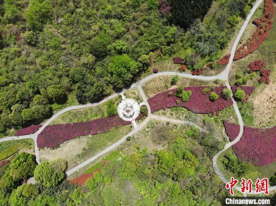 图为航拍贵阳市观山湖公园春景如画。（无人机照片）石小杰 摄