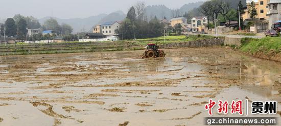 拖拉机田间作业 袁堇峰 摄 拖拉机田间作业 袁堇峰 摄