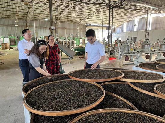 金融助力“绿叶”变“黄金叶”。工行柳州分行供稿 金融助力“绿叶”变“黄金叶”。工行柳州分行供稿