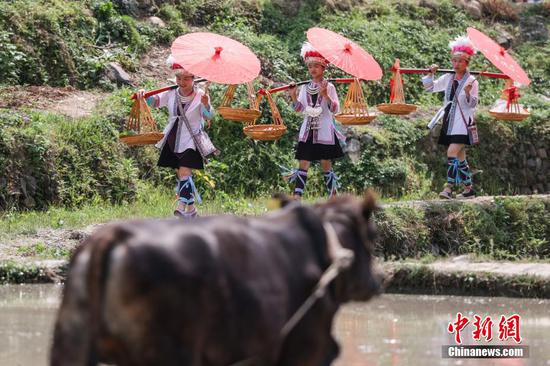 图为“谷雨农耕”续传承活动中的农耕文化展演。